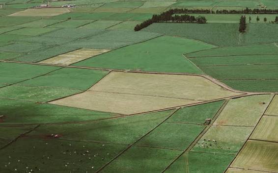 The Difference Between Buying Land for Investment vs Building